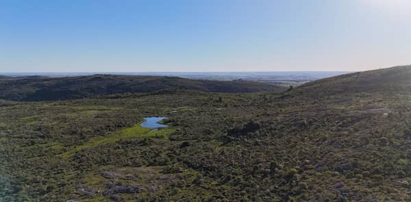 15 hectáreas. Chacra en Lavalleja Uruguay